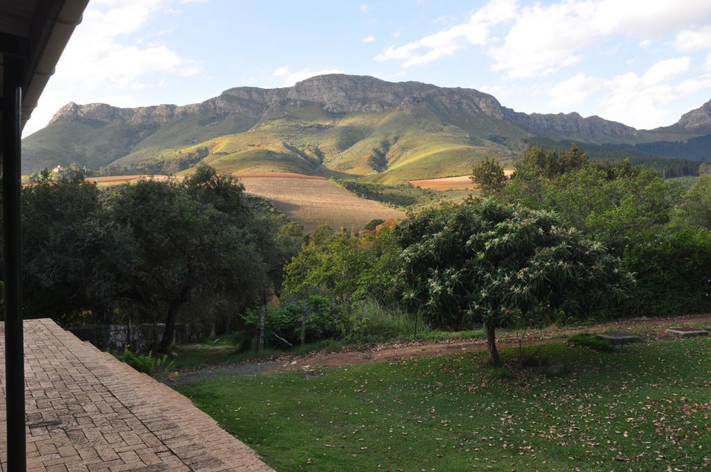 Kierie Kwaak Self Catering Villa Stellenbosch Kültér fotó