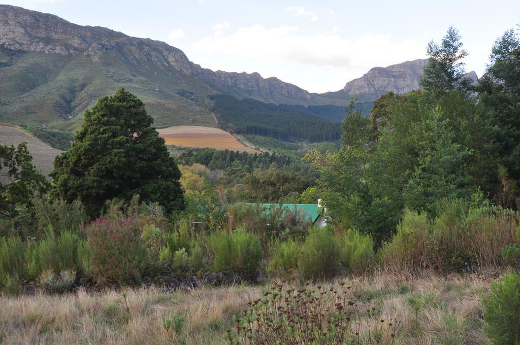 Kierie Kwaak Self Catering Villa Stellenbosch Kültér fotó