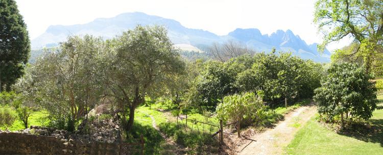 Kierie Kwaak Self Catering Villa Stellenbosch Kültér fotó